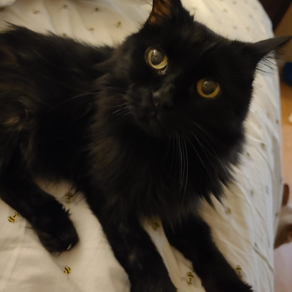 Meet your Posher, Casie